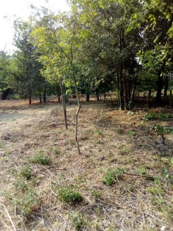 Terreno en Sorga, 1 thumbnail 2