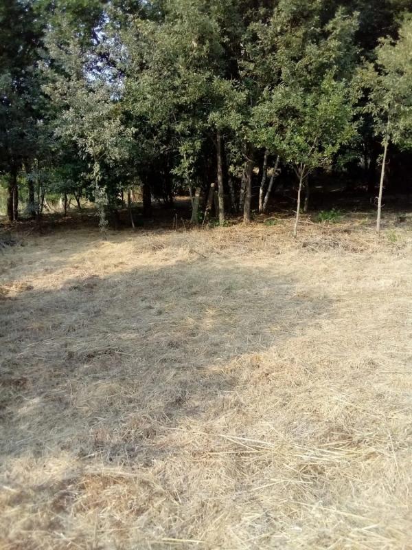 Terreno en venta en A Bola, Ourense photo 4
