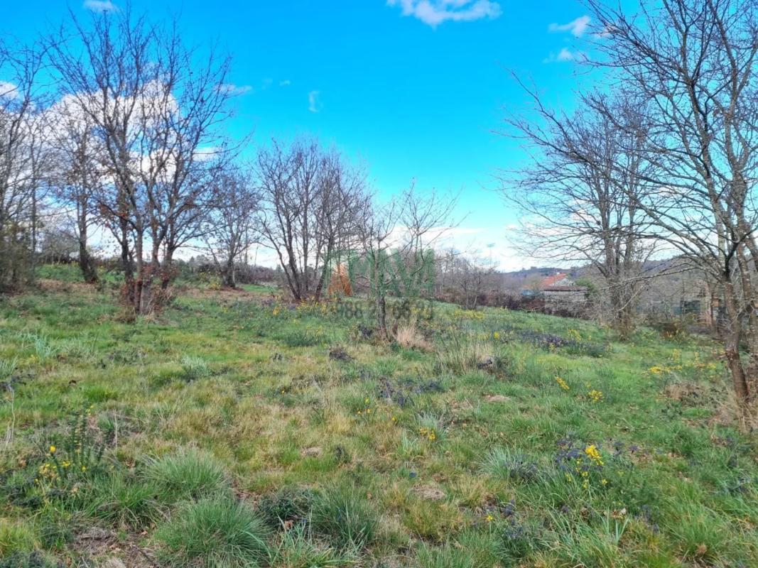 Terreno en venta en A Bola, Ourense photo 2