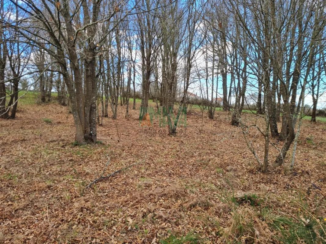 Terreno en venta en A Bola, Ourense photo 3