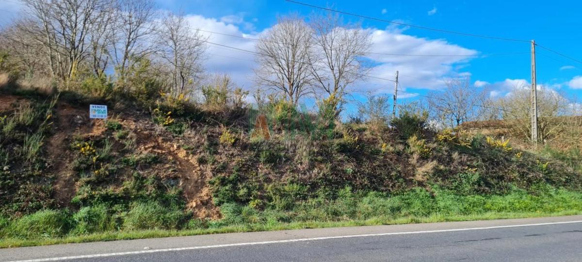 Terreno en venta en A Bola, Ourense photo 5