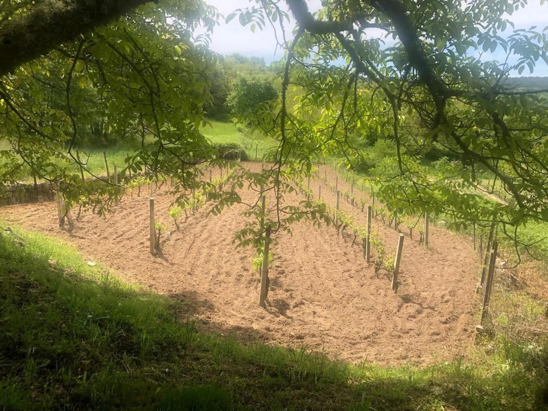 Terreno en venta en A Merca, Ourense photo 1