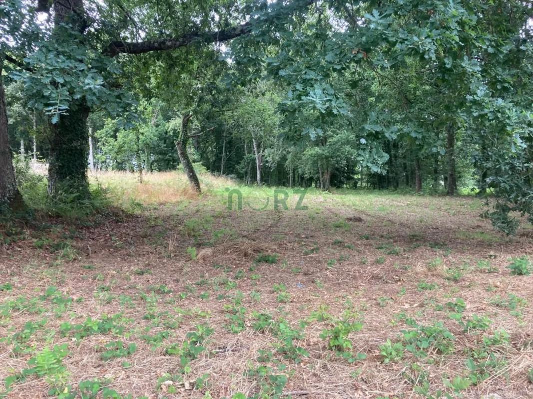Terreno en venta en A Merca, Ourense photo 5