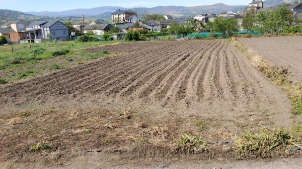 Terreno en calle Cantalarana s/n photo 2