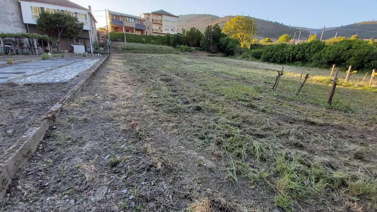 Terreno en venta en A Rua, Ourense photo 4