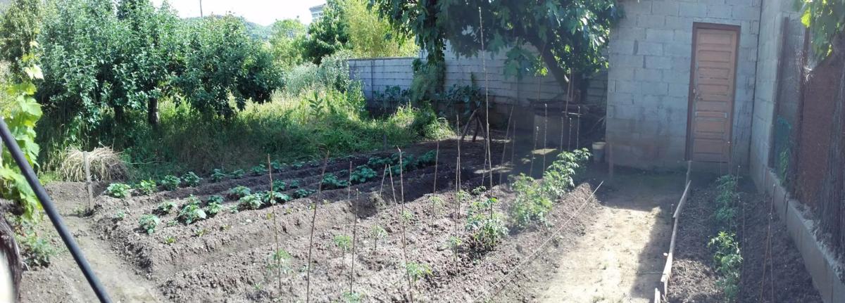 Terreno en venta en A Rua, Ourense photo 4