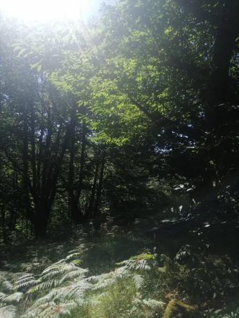 Terreno en Raigada, 12 thumbnail 2
