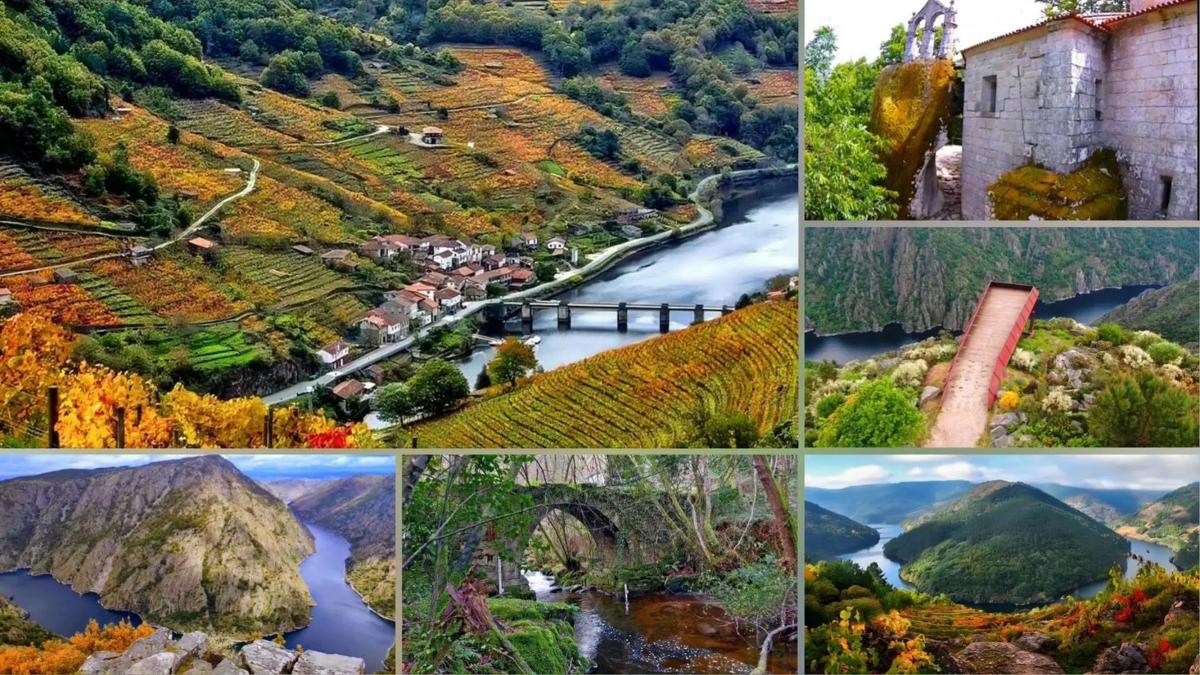 Terreno en venta en A Teixeira, Ourense photo 5