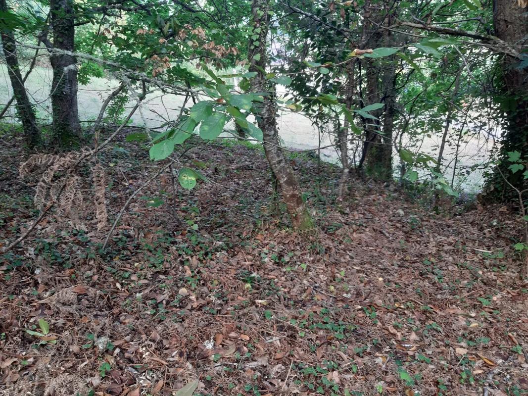 Terreno en venta en A Teixeira, Ourense photo 2