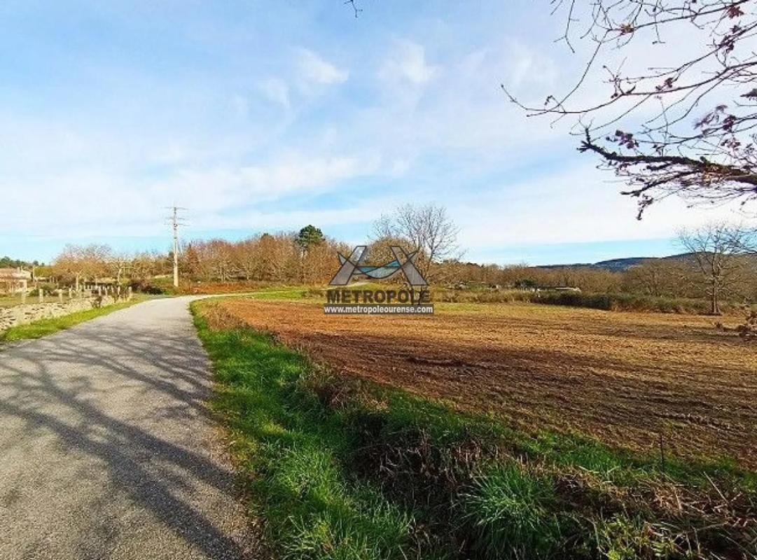 Terreno en venta en Allariz, Ourense photo 5