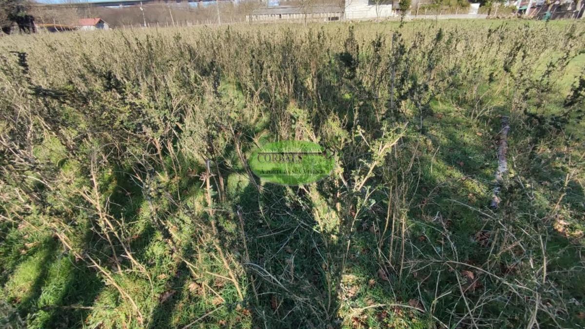 Terreno en venta en Allariz, Ourense photo 3