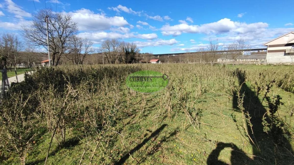 Terreno en venta en Allariz, Ourense photo 4