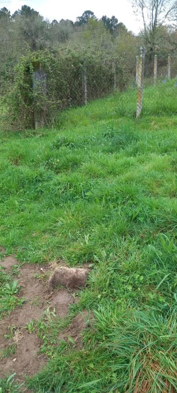 Terreno en venta en Allariz, Ourense photo 5