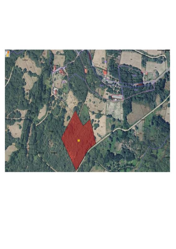 Terreno en venta en Allariz, Ourense photo 1