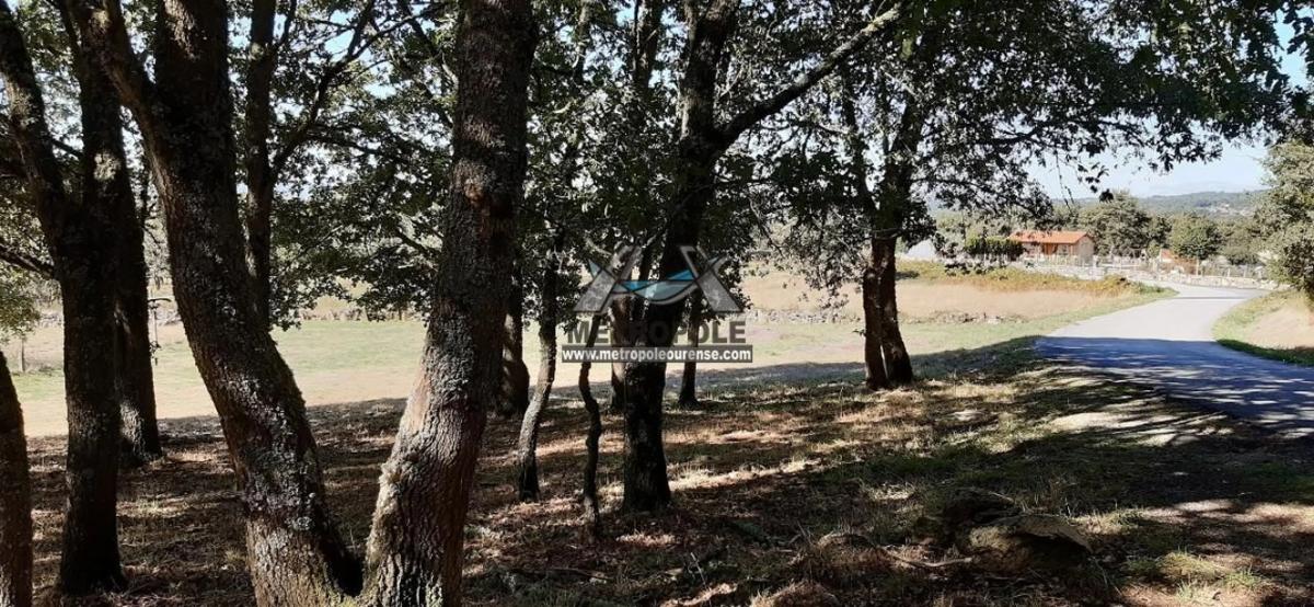 Terreno en venta en Allariz, Ourense photo 5