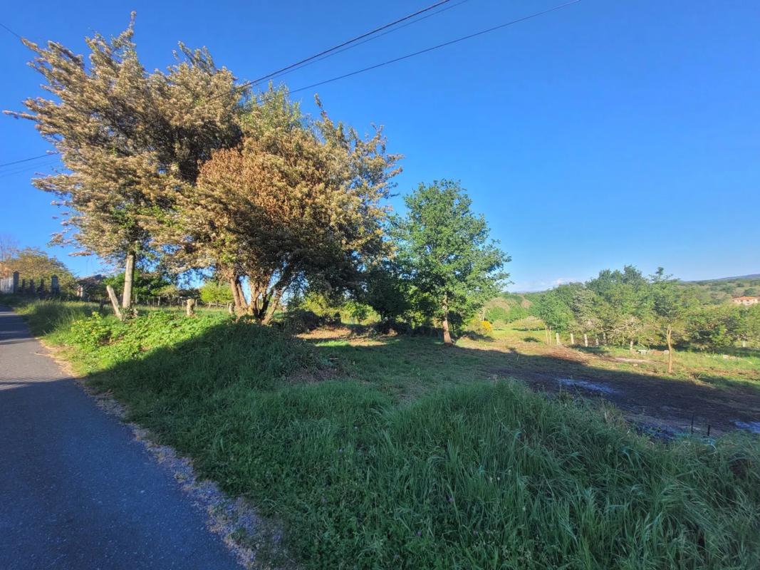 Land for sale in Allariz, Ourense photo 2