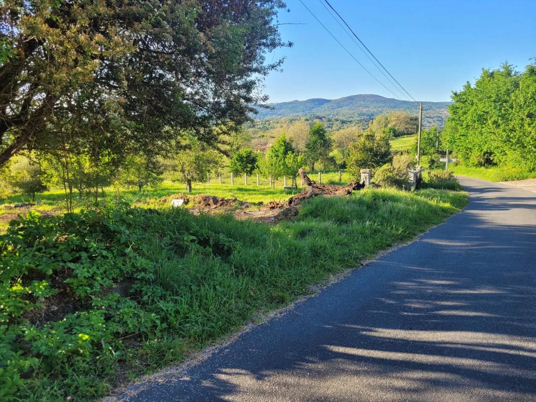 Land for sale in Allariz, Ourense photo 3