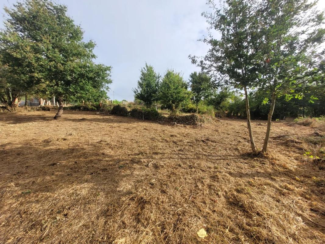 Land for sale in Allariz, Ourense photo 5