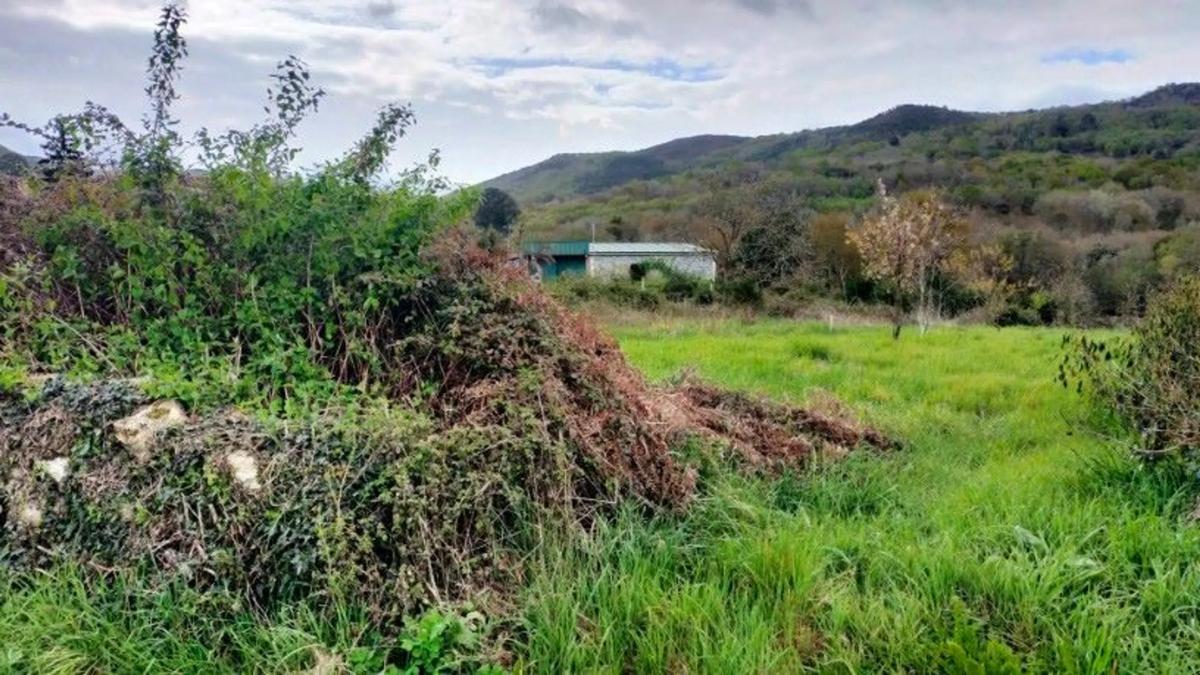 Terreno en venta en Allariz, Ourense photo 1