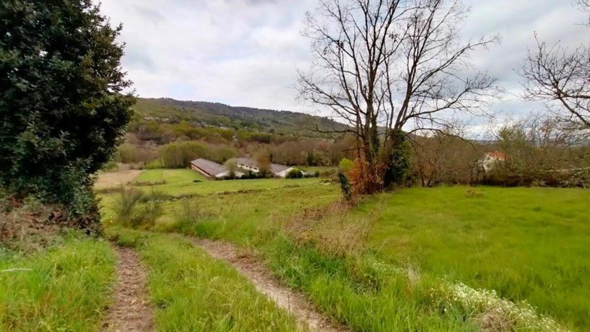 Terreno en venta en Allariz, Ourense photo 4