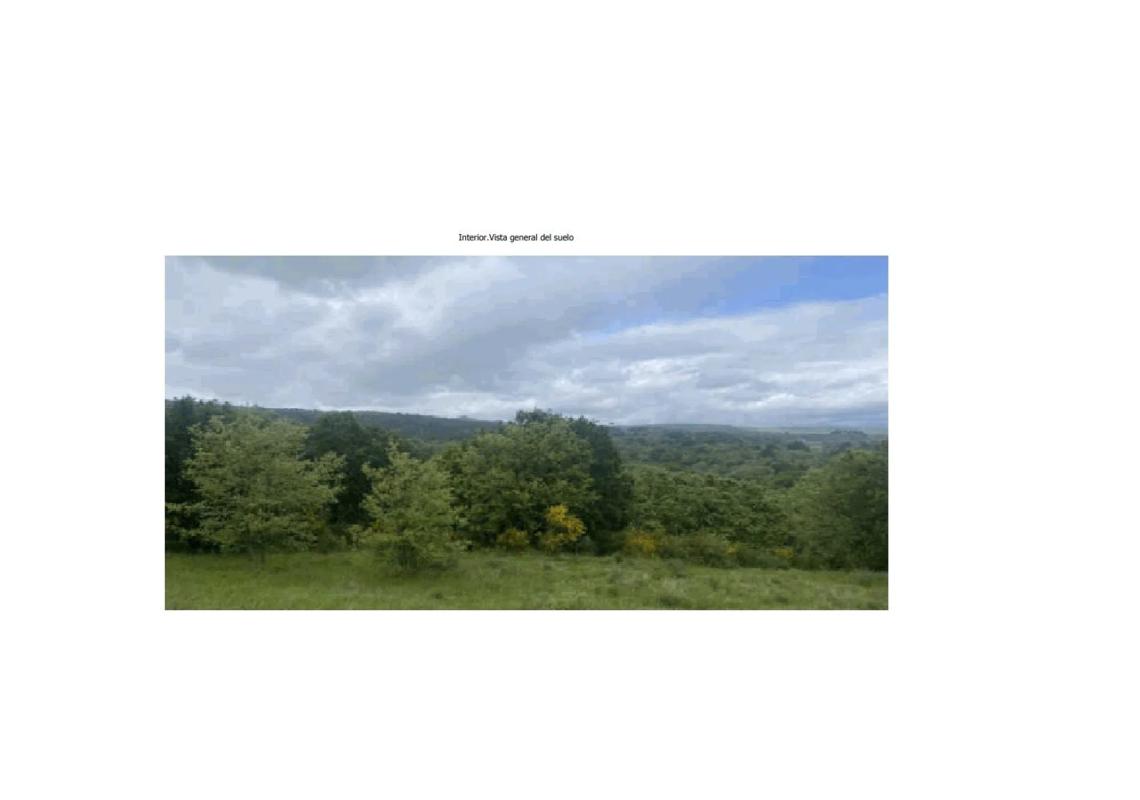 Terreno en venta en Allariz, Ourense photo 2