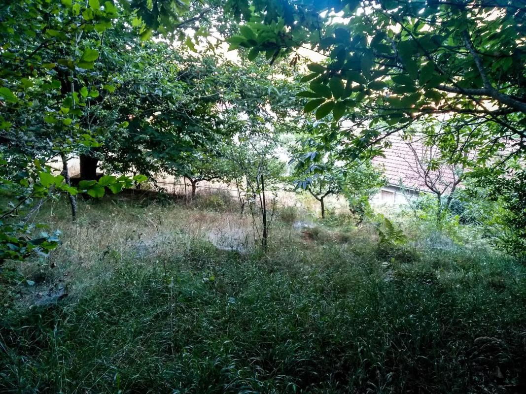 Terreno en venta en Allariz, Ourense photo 4