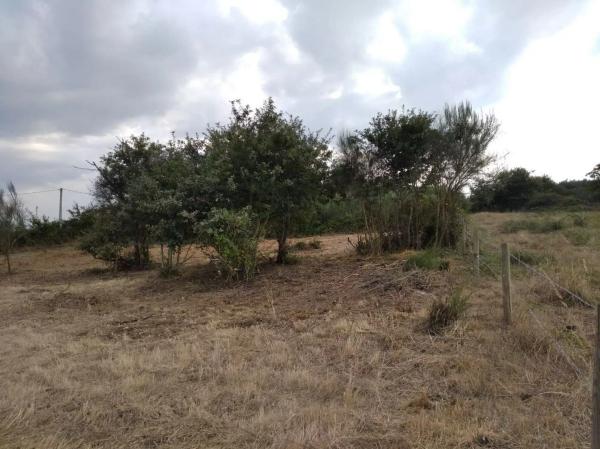 Terreno en San Vitoiro, 13 photo 2