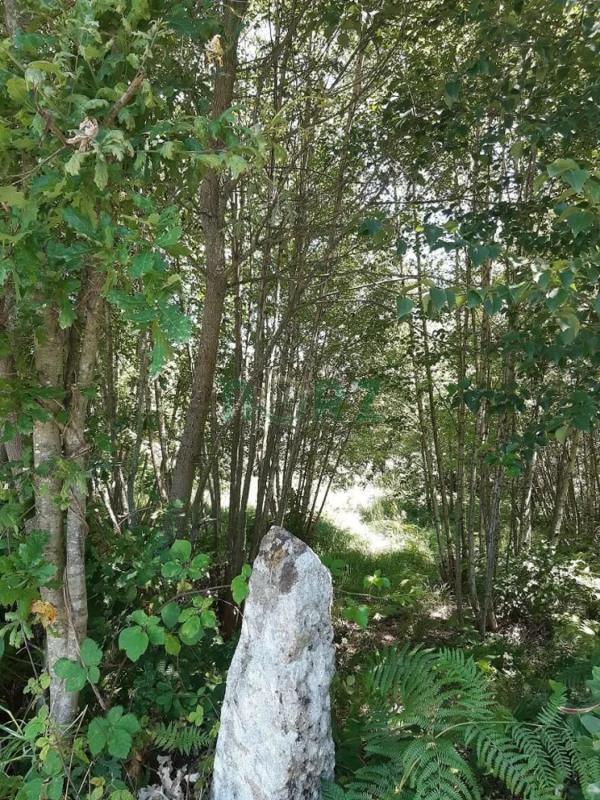 Terreno en venta en Allariz, Ourense photo 4