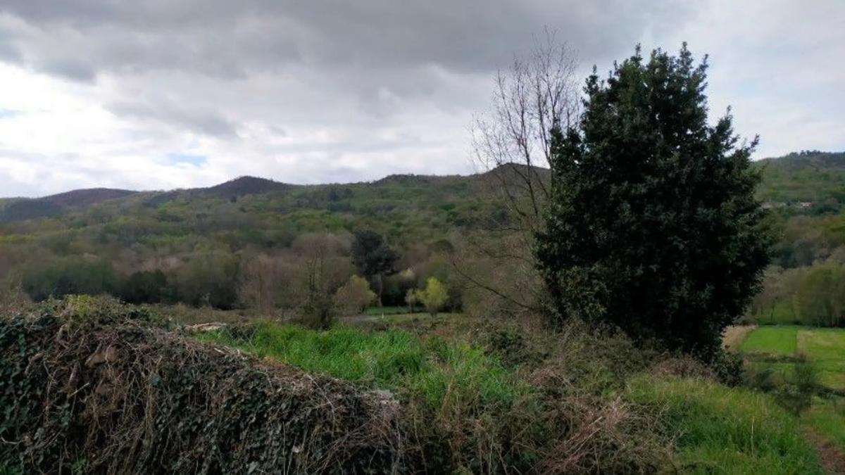 Terreno en venta en Allariz, Ourense photo 3