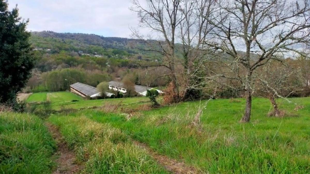Terreno en venta en Allariz, Ourense photo 5