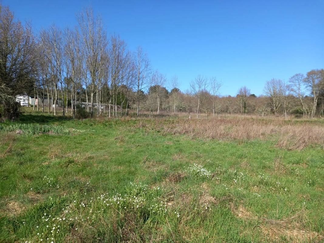 Terreno en venta en Allariz, Ourense photo 1