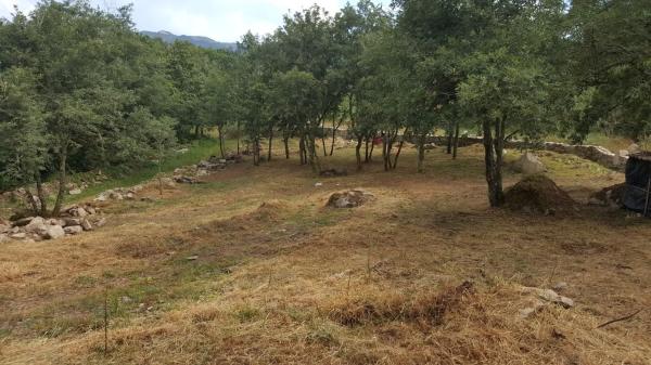 Terreno en Enfestela,A, 5 photo 1