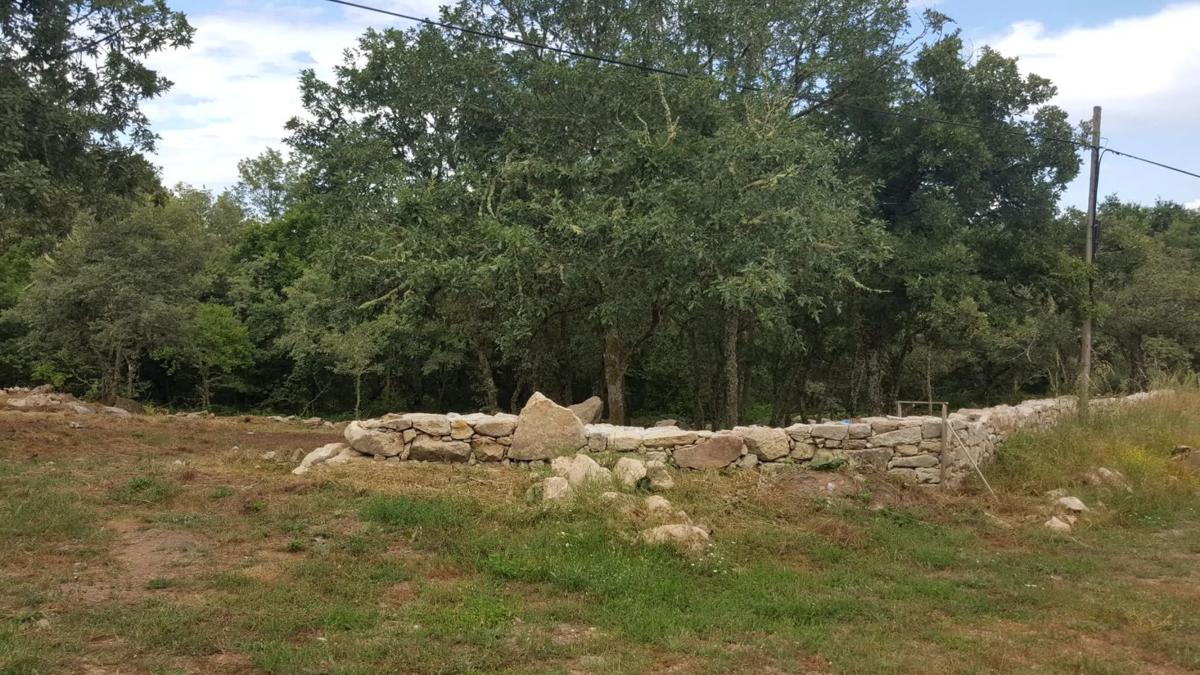 Terreno en venta en Allariz, Ourense photo 2