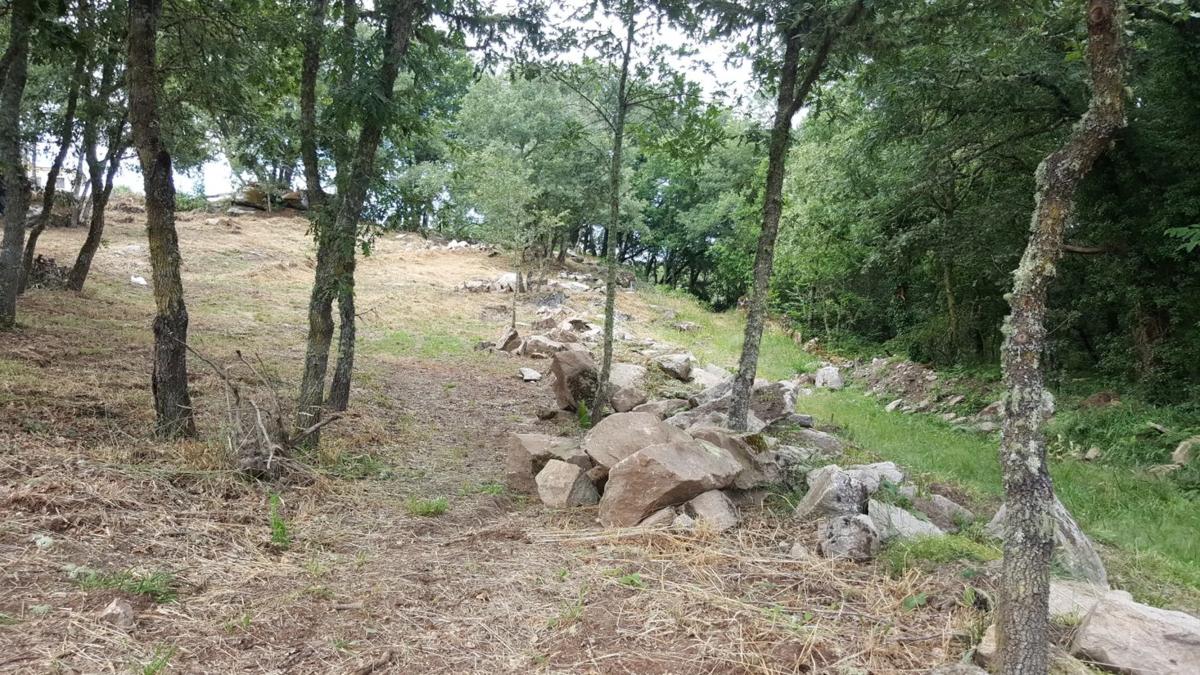 Terreno en venta en Allariz, Ourense photo 3