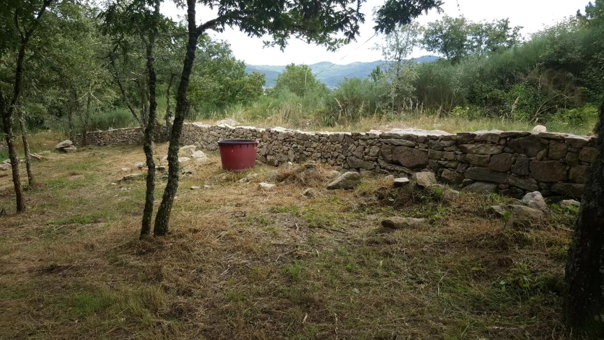 Terreno en venta en Allariz, Ourense photo 4