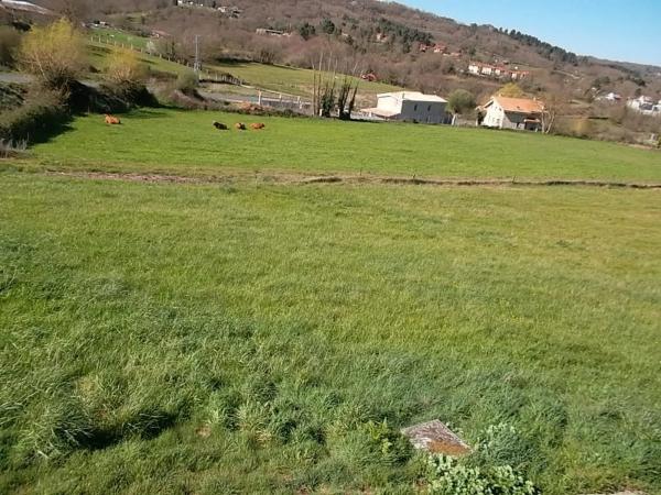 Terreno en calle rosalía de castro s/n thumbnail 1