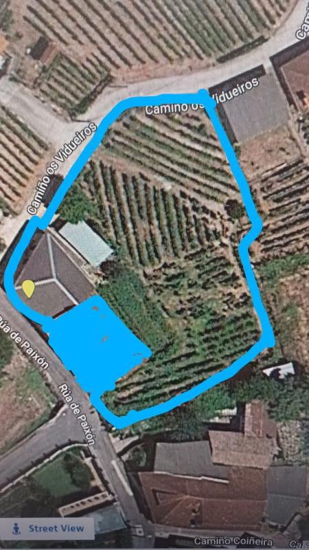 Terreno en venta en Arnoia, Ourense photo 4