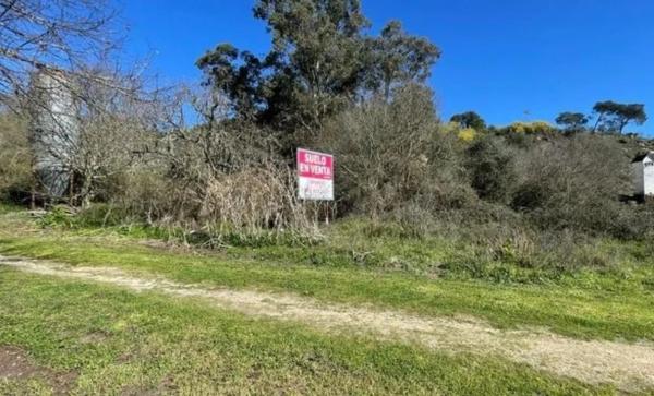 Terreno en camino da s/n photo 3