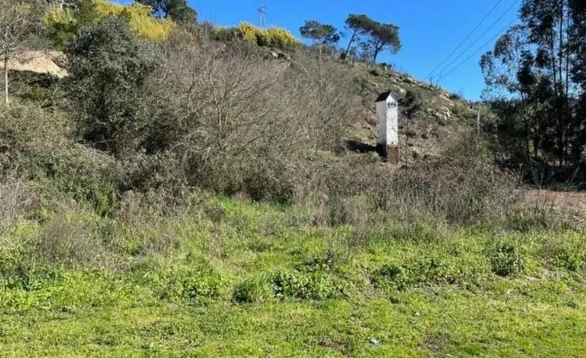 Terreno en venta en Avion, Ourense photo 4