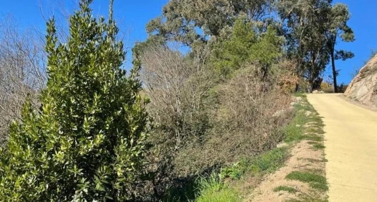 Terreno en venta en Avion, Ourense photo 5