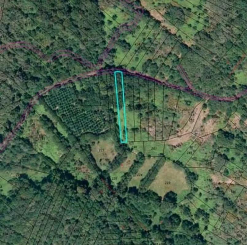 Land for sale in Bande, Ourense photo 1