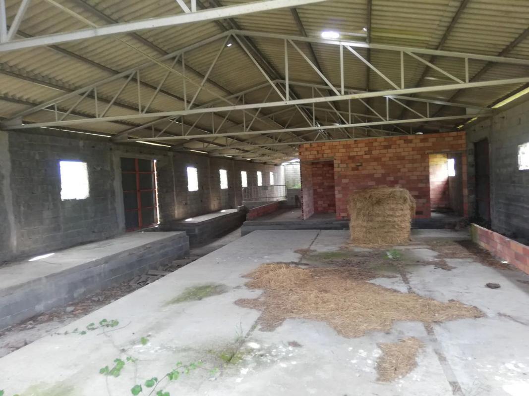 Terreno en venta en Blancos (Os), Ourense photo 4