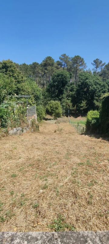 Land for sale in Cartelle, Ourense photo 4