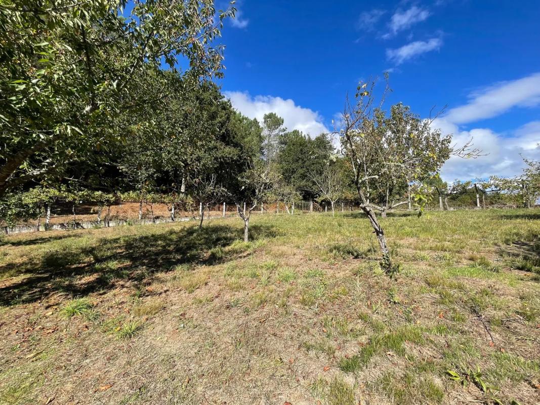 Terreno en venta en Cartelle, Ourense photo 1