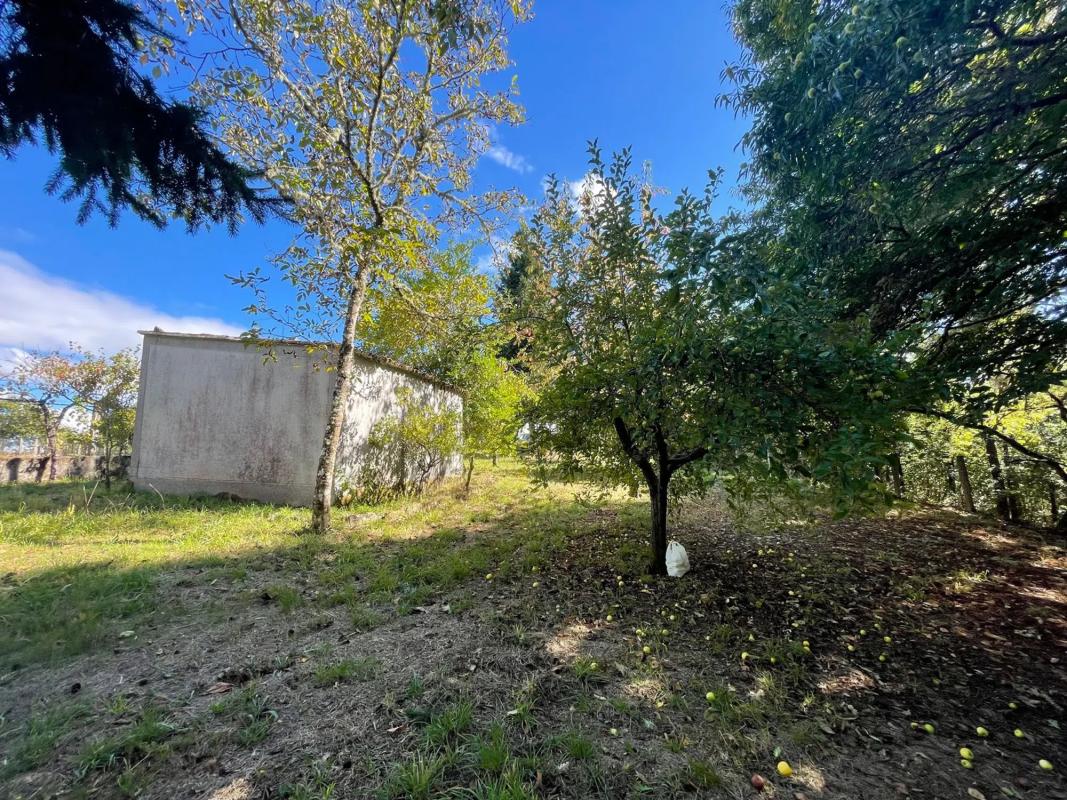Terreno en venta en Cartelle, Ourense photo 5