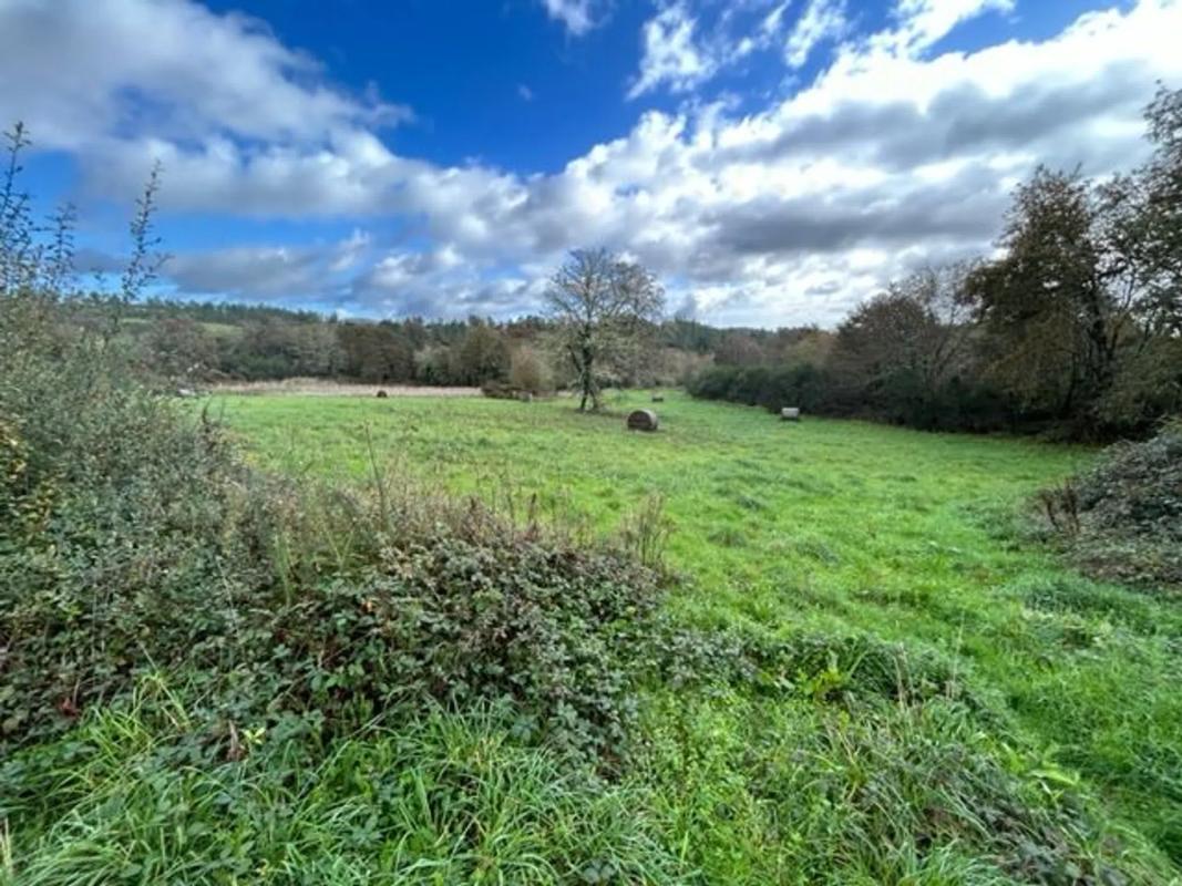 Terreno en venta en Cartelle, Ourense photo 3
