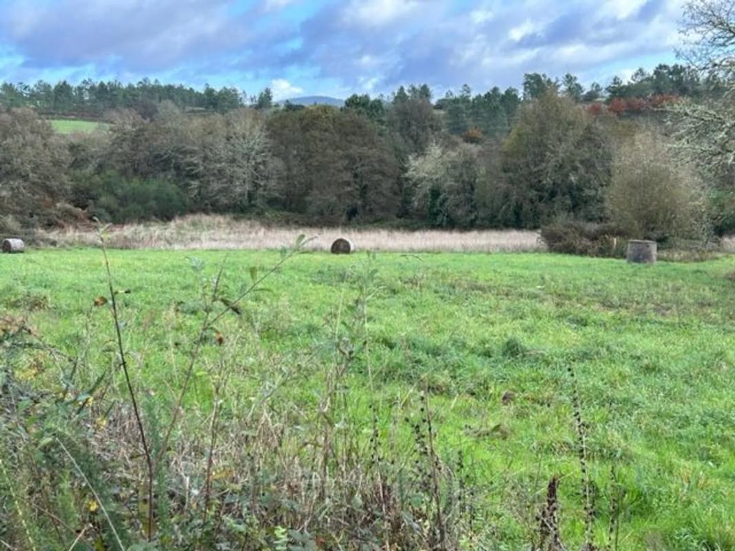Terreno en venta en Cartelle, Ourense photo 4