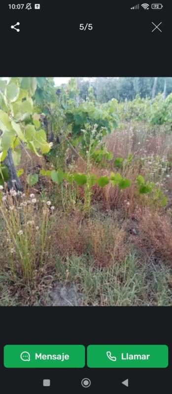 Terreno en venta en Castrelo de Miño, Ourense photo 1