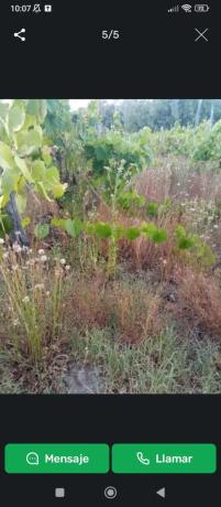 Terreno en Prado de Miño, 4 photo 1