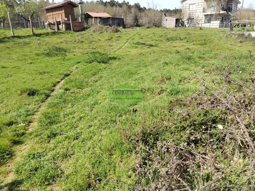 Terreno en venta en Cartelle, Ourense photo 1